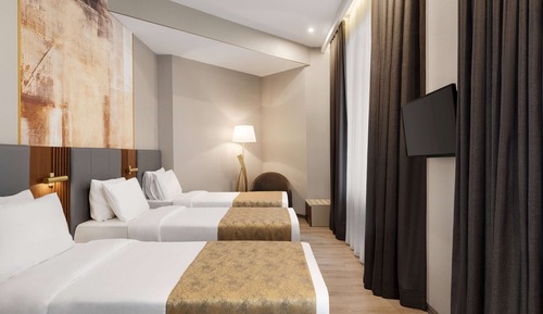 Room, Multiple Beds, Non Smoking (Triple Chamber)