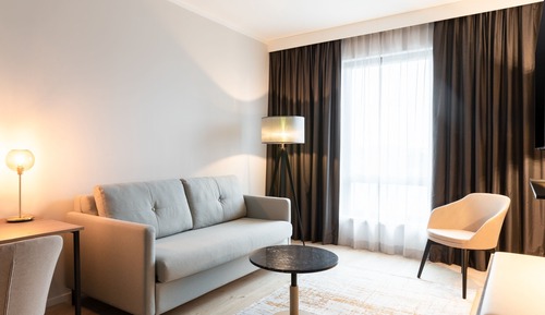 Family Room, 1 King Bed with Sofa bed
