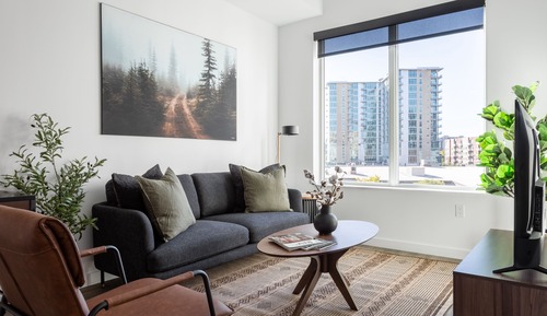One Bedroom Suite