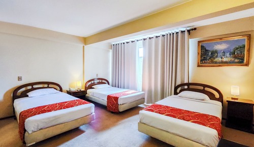 Basic Triple Room