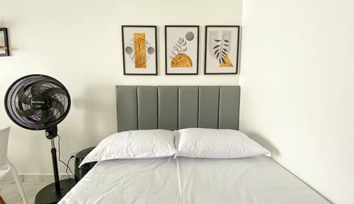 Basic Loft