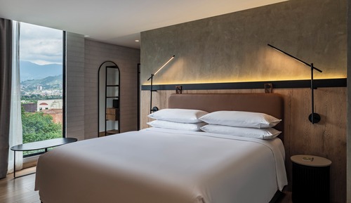 Room, 1 King Bed, Accessible, Non Smoking