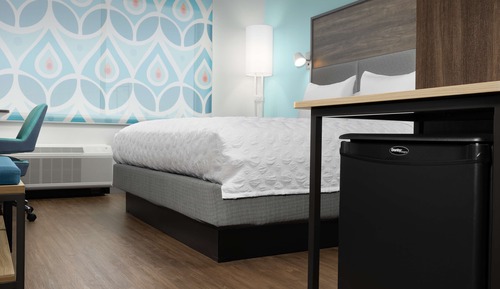 Room, 1 King Bed