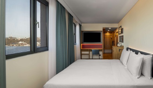 Room, 1 King Bed, Smoking