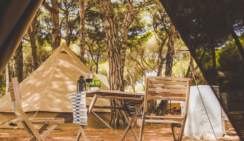 Economy Tent