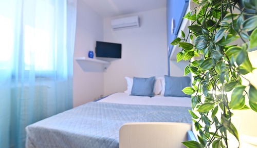 Basic Apartment