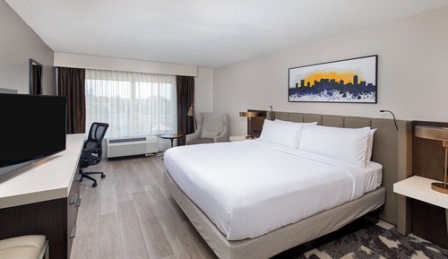 Standard Room, 1 King Bed, Mobility Accessible, Non Smoking (Mobility)