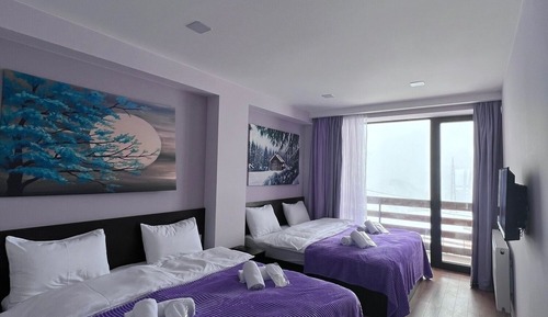 Standard Quadruple Room, Multiple Beds, Mountain View