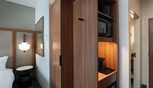 Suite, 1 King Bed with Sofa bed