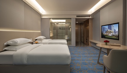 Room, 1 Twin Bed