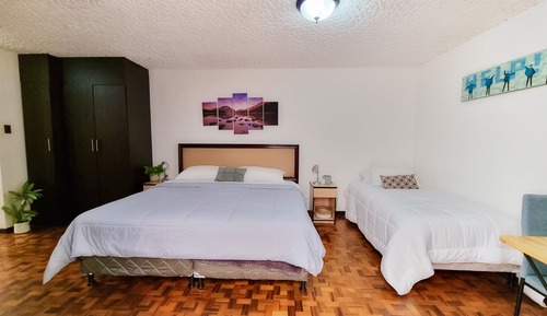 Standard Studio, Multiple Beds, Kitchen
