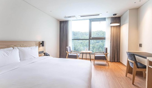 Double Room, 1 Queen Bed