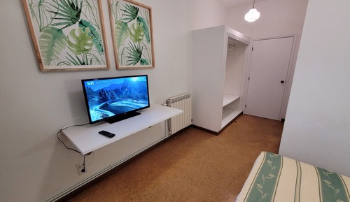 Basic Double Room