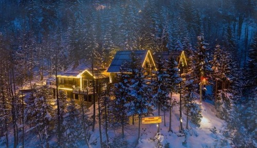 Luxury Tree House