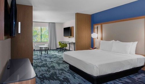 Suite, 1 King Bed with Sofa bed