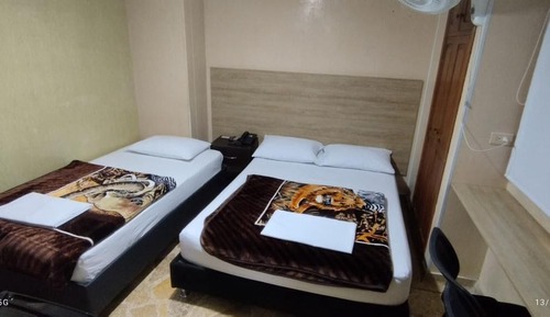 Basic Twin Room