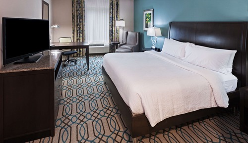 Room, 1 King Bed with Sofa bed, Accessible (Roll In Shower)