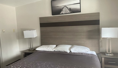 Standard Room, 1 King Bed, Refrigerator & Microwave