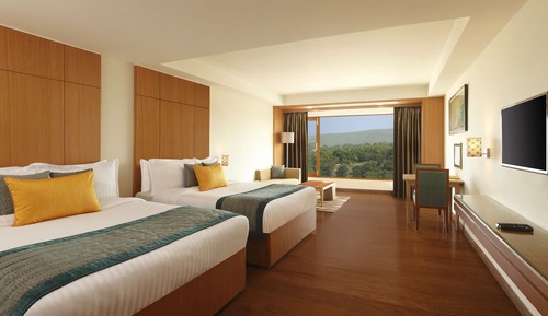 Valley View Room