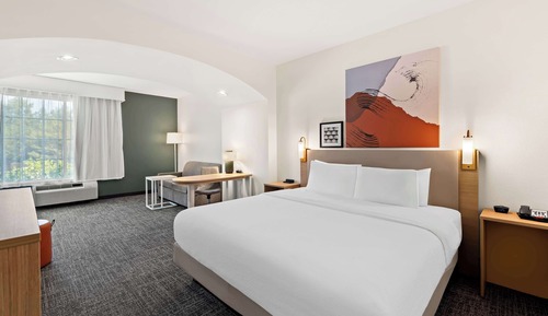Room, 1 King Bed with Sofa bed