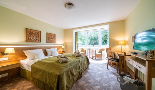 Classic Double Room