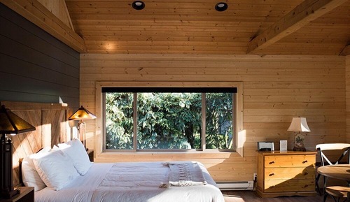 Rustic Studio Cabin, 1 King Bed, Wood Fireplace, Jetted Bathtub, Resort View (Fenn's - Pet Friendly)