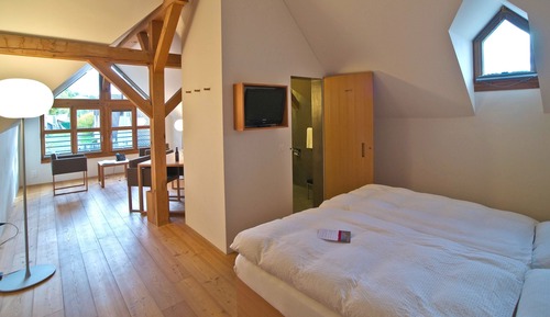 Suite, 1 Double Bed (Mini Suite)