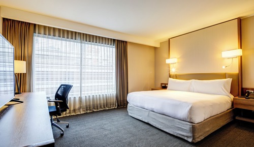 Suite, 1 King Bed
