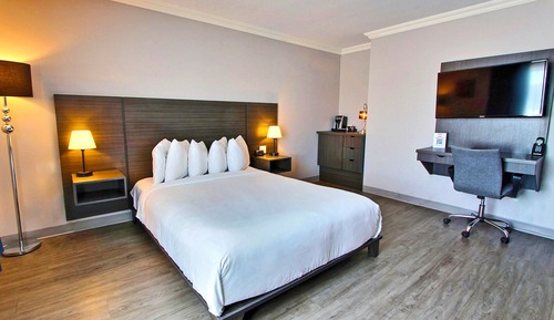 Superior Room, 1 Queen Bed with Sofa bed