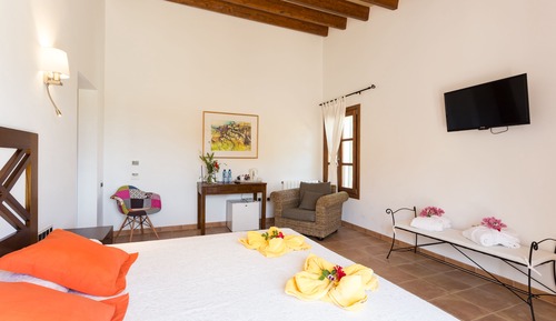 Junior Suite, Terrace
