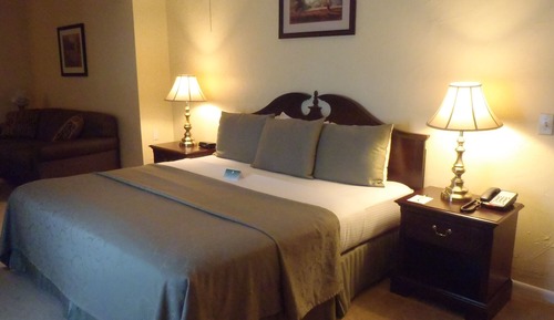 Standard Suite, 1 King Bed with Sofa bed, Refrigerator