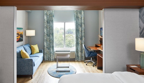 Suite, 1 King Bed with Sofa bed