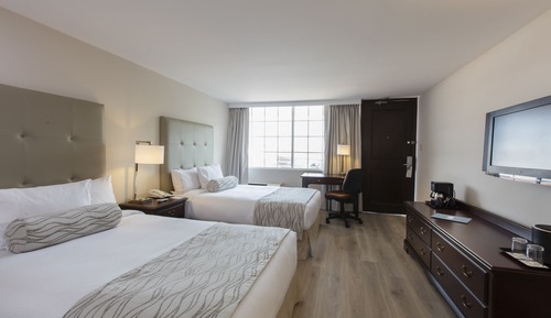 Standard Room, 2 Double Beds