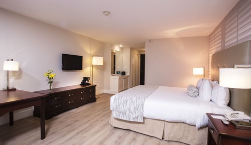 Standard Room, 1 King Bed