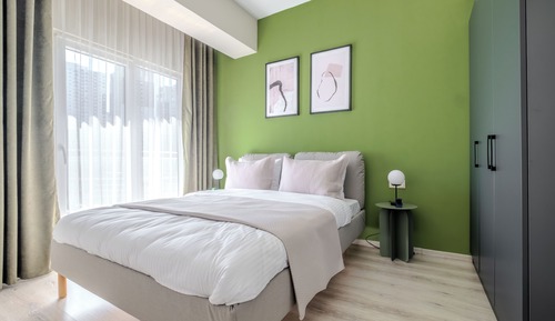 Basic Apartment