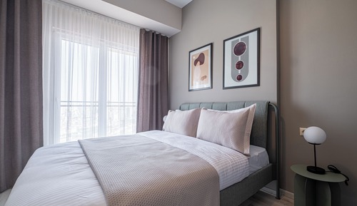 Basic Apartment