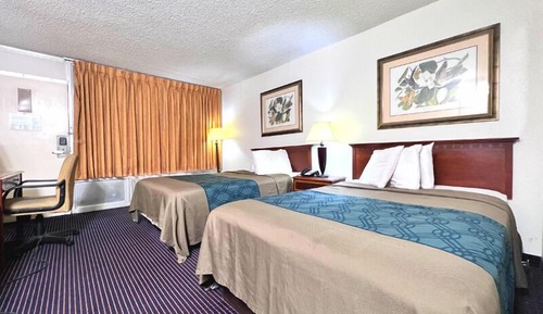 Basic Double Room