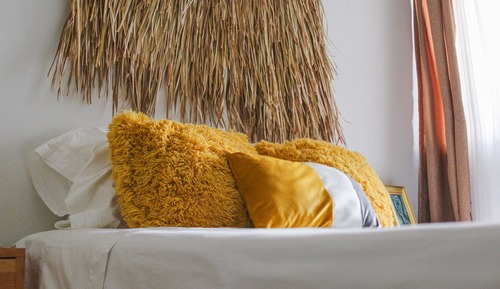 Dream Room Xochimilco pedestria patio r1