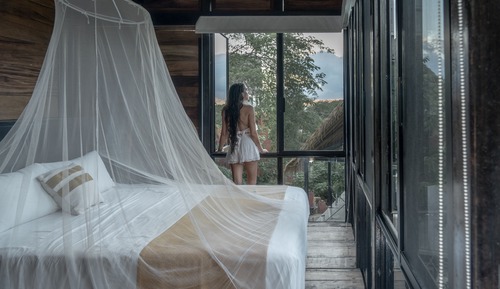 Standard Tree House