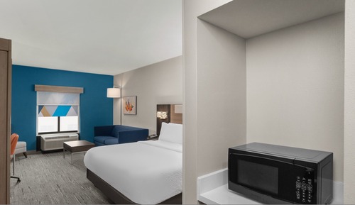 Suite, 1 King Bed (Bath Shower Combination)