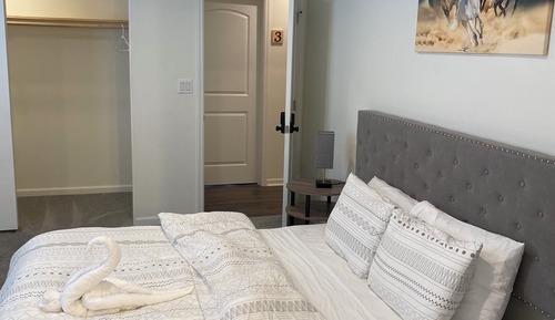 Presidential Single Room, 1 King Bed