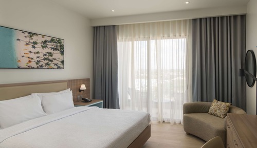 Room, 1 King Bed