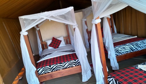 Basic Triple Room