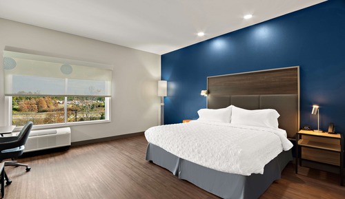 Room, 1 King Bed, Accessible, Bathtub (Mobility & Hearing)