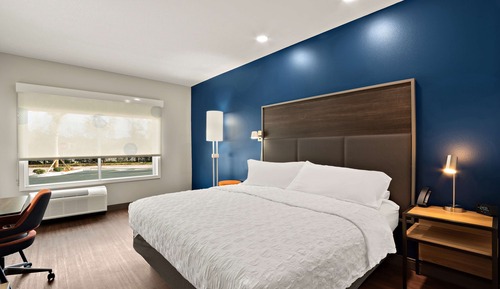 Room, 1 King Bed