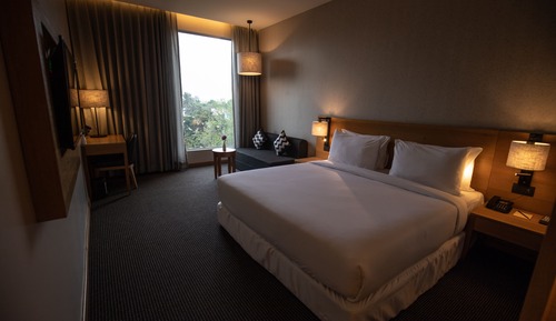 Luxury Studio Suite