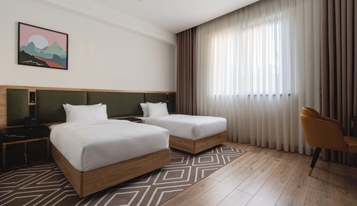 Standard Twin Room