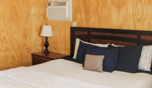 Room, 1 King Bed