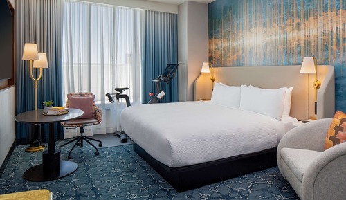 Room, 1 King Bed (Peloton Spin Bike)