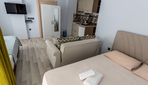 Classic Apartment